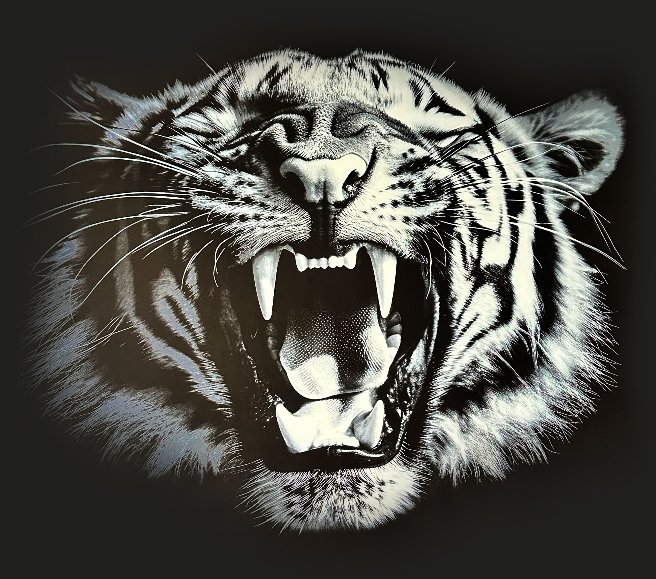 tijger